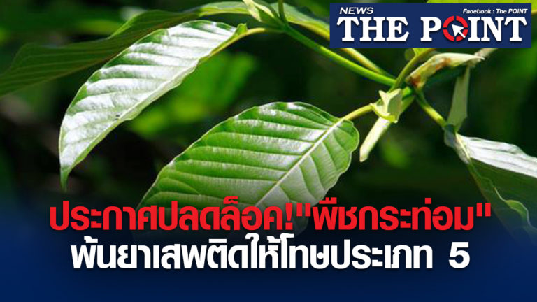 ประกาศปลดล็อค!”พืชกระท่อม”พ้นยาเสพติดให้โทษประเภท 5