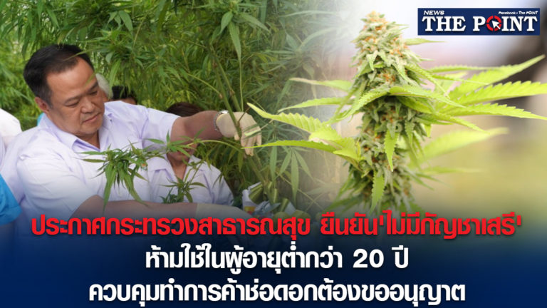 ประกาศกระทรวงสาธารณสุข ยืนยัน’ไม่มีกัญชาเสรี’ห้ามใช้ในผู้อายุต่ำกว่า 20 ปีควบคุมทำการค้าช่อดอกต้องขออนุญาต