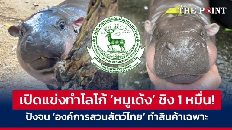 เปิดแข่งทำโลโก้ ‘หมูเด้ง’ ชิง 1 หมื่น! ปังจน ‘องค์การสวนสัตว์ไทย’ ทำสินค้าเฉพาะ