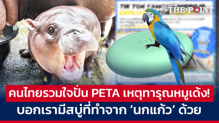 คนไทยรวมใจปั่น PETA เหตุทารุณหมูเด้ง! บอกเรามีสบู่ที่ทำจาก ‘นกแก้ว’ ด้วย