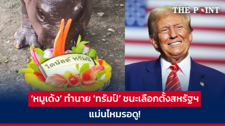 ‘หมูเด้ง’ ทำนาย ‘ทรัมป์’ ชนะเลือกตั้งสหรัฐฯ แม่นไหมรอดู!