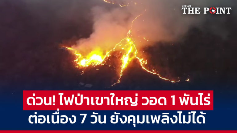 ด่วน! ไฟป่าเขาใหญ่ วอด 1 พันไร่ ต่อเนื่อง 7 วัน ยังคุมเพลิงไม่ได้